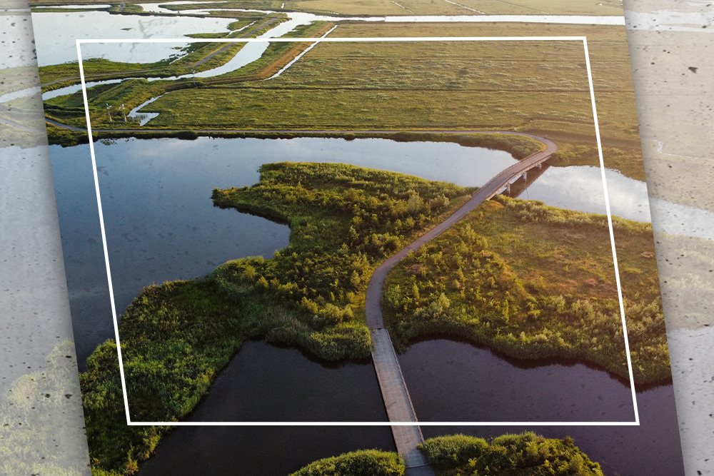 biesbosch motorroute